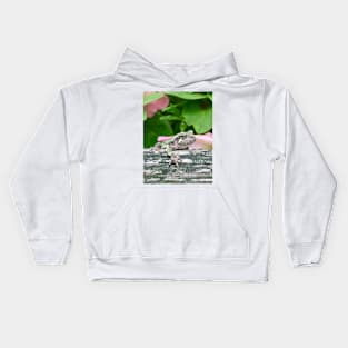 Grey Tree Frog Hangin' Kids Hoodie